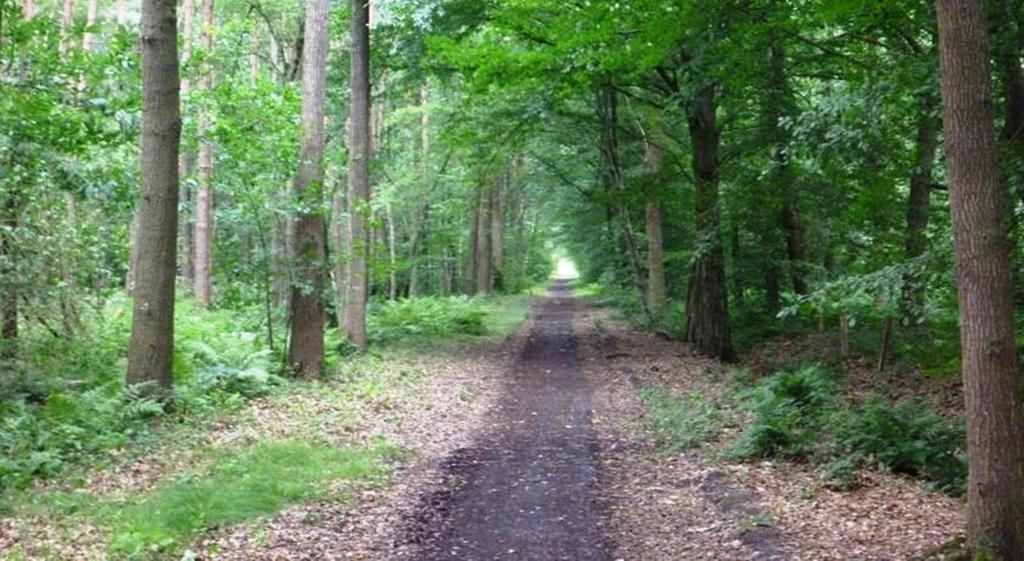 B&B Woodside Torhout Εξωτερικό φωτογραφία